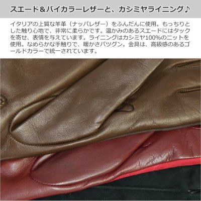 カシミヤライニングベルト付レザーグローブの通販 －キャロン国本店－